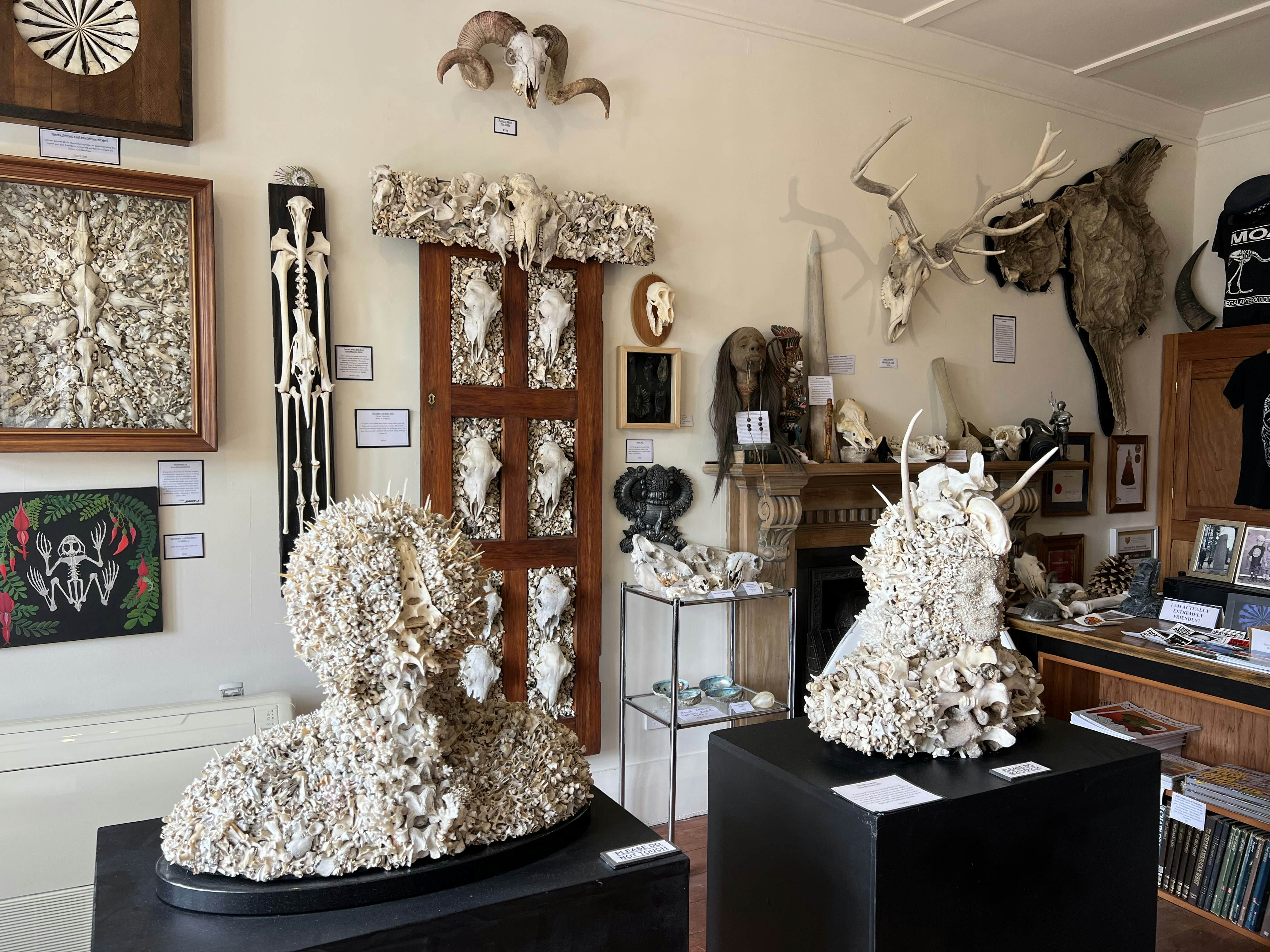 DUNEDIN, NEW ZEALAND. DECEMBER 2025. 
Artwork by curator Bruce Mahalski inside Dunedin's Museum of Natural Mystery.