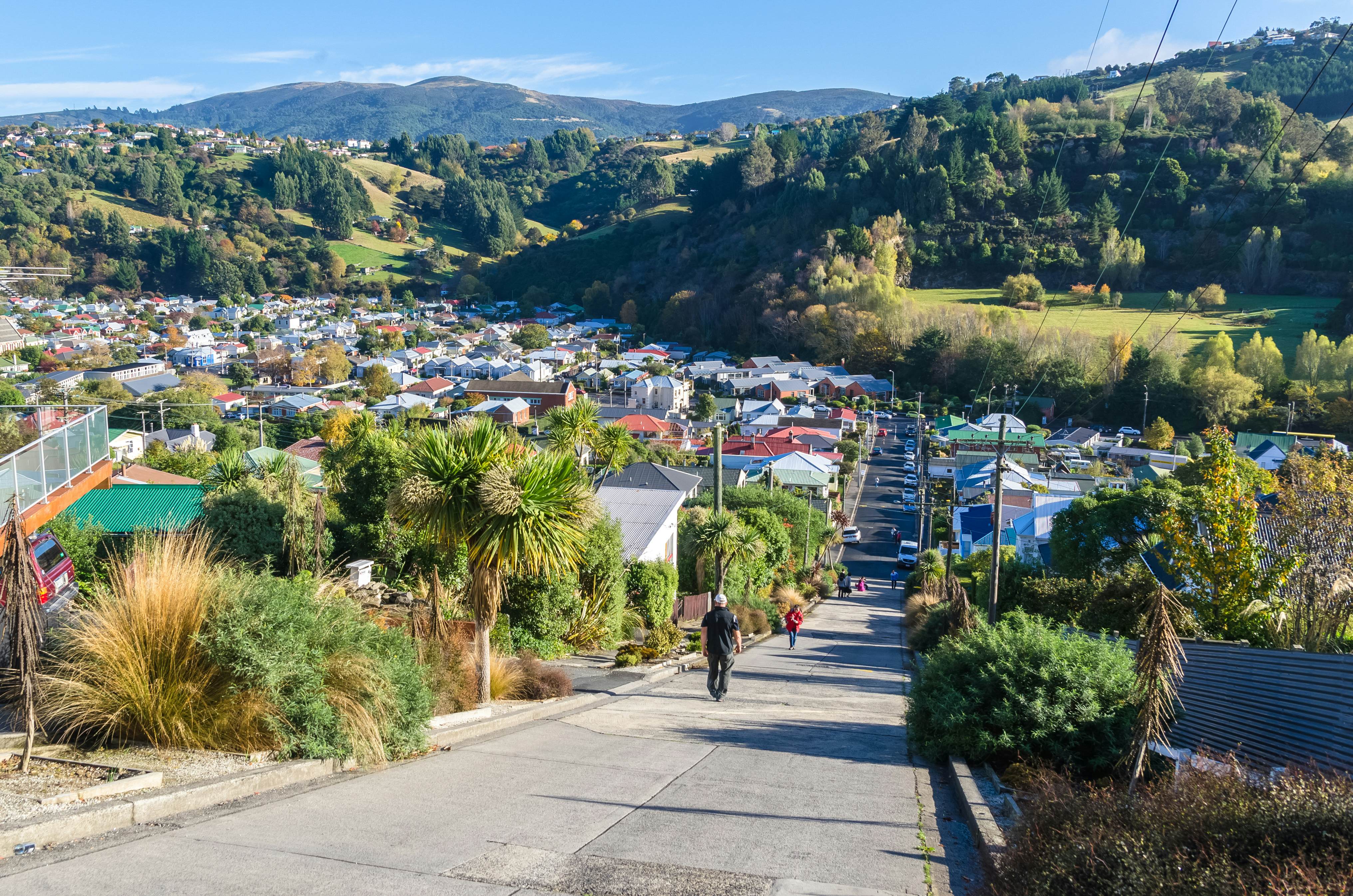 Baldwin Street which is located in Dunedin,New Zealand is the world steepest street in the world., License Type: media, Download Time: 2026-07-01T16:19:45.000Z, User: rhylton_redventures, Editorial: false, purchase_order: 65050 - Digital Destinations and Articles, job: Lonely Planet, client: wip, other: Rhianydd Hylton