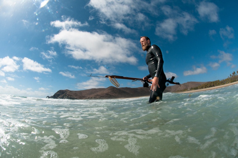 Features - spearfishing