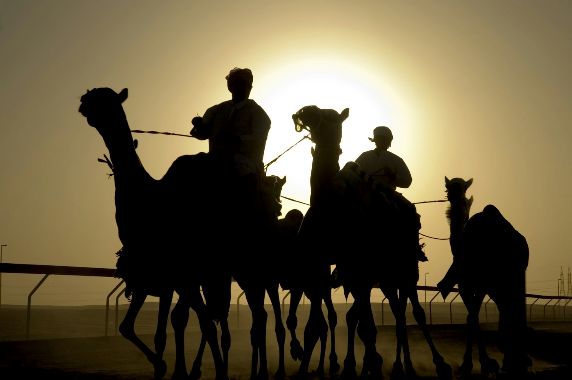 Camel race in Dubai. Image by naes / Getty