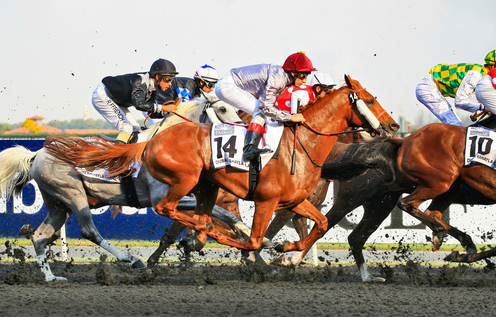 Horse race in Dubai. Image by Sukhanova Daria / Shutterstock