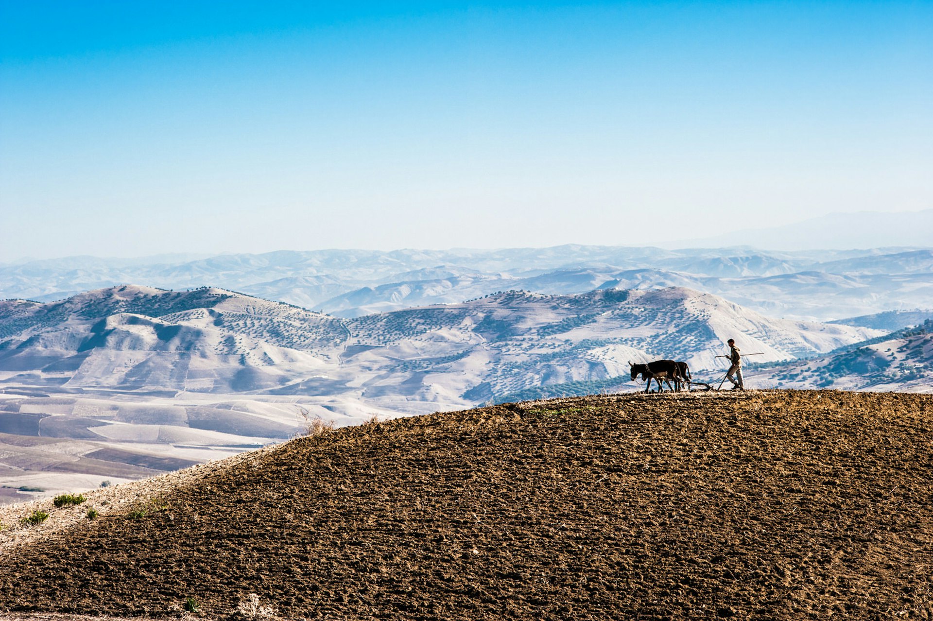 A farmer ploughing with his donkey in the High Atlas Mountains, Morocco