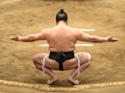 Features - sumo-wrestler-squatting-in-ring-28e6757cf21a