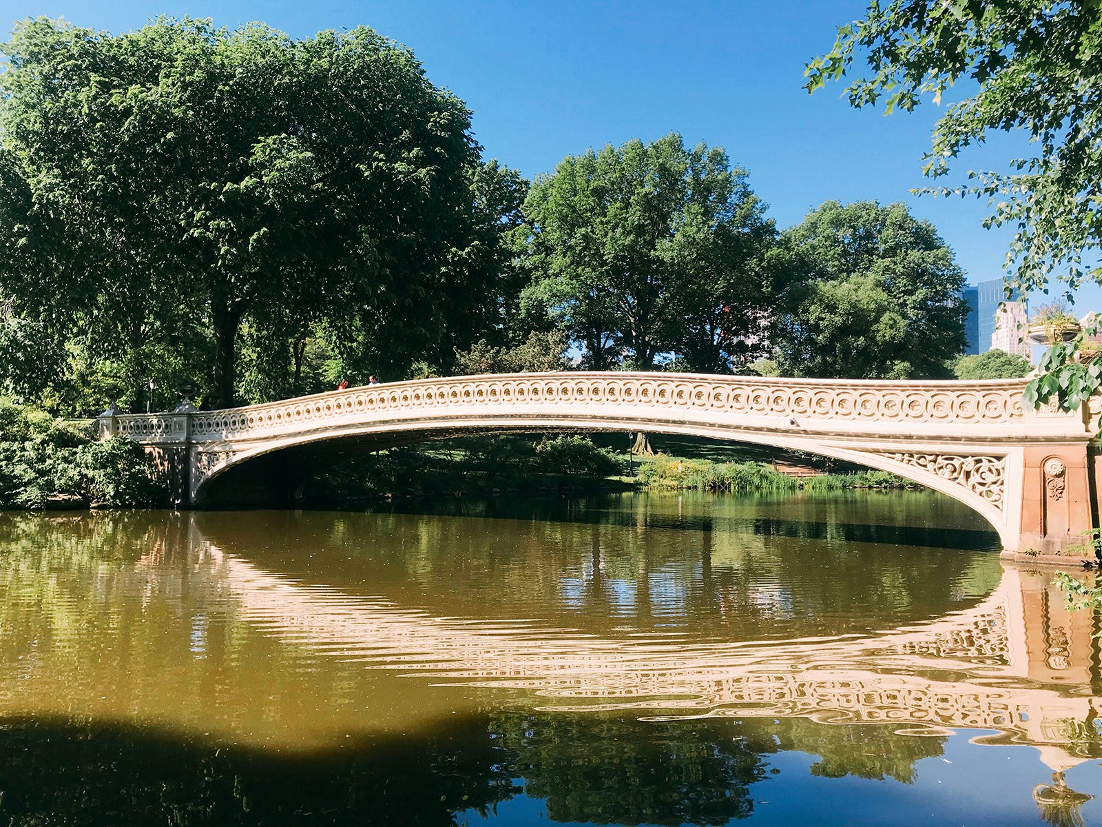 Bow Bridge stretches across Central Park Lake on a summer day; ways to enjoy New York City in the summer