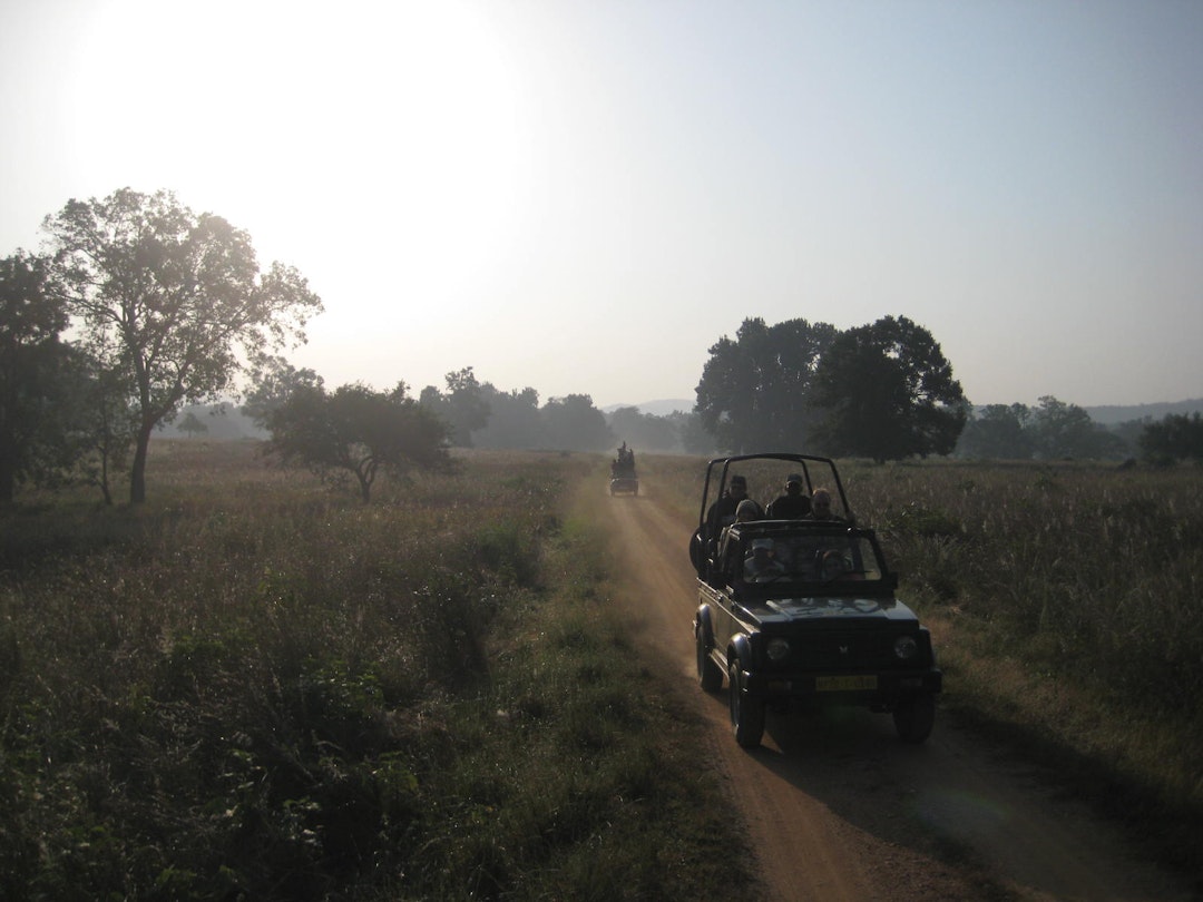 safari business in india
