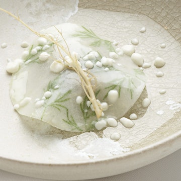 Features - Geranium_Photographer__Claes_Bech_Poulsen-crop-00bc4a56d566