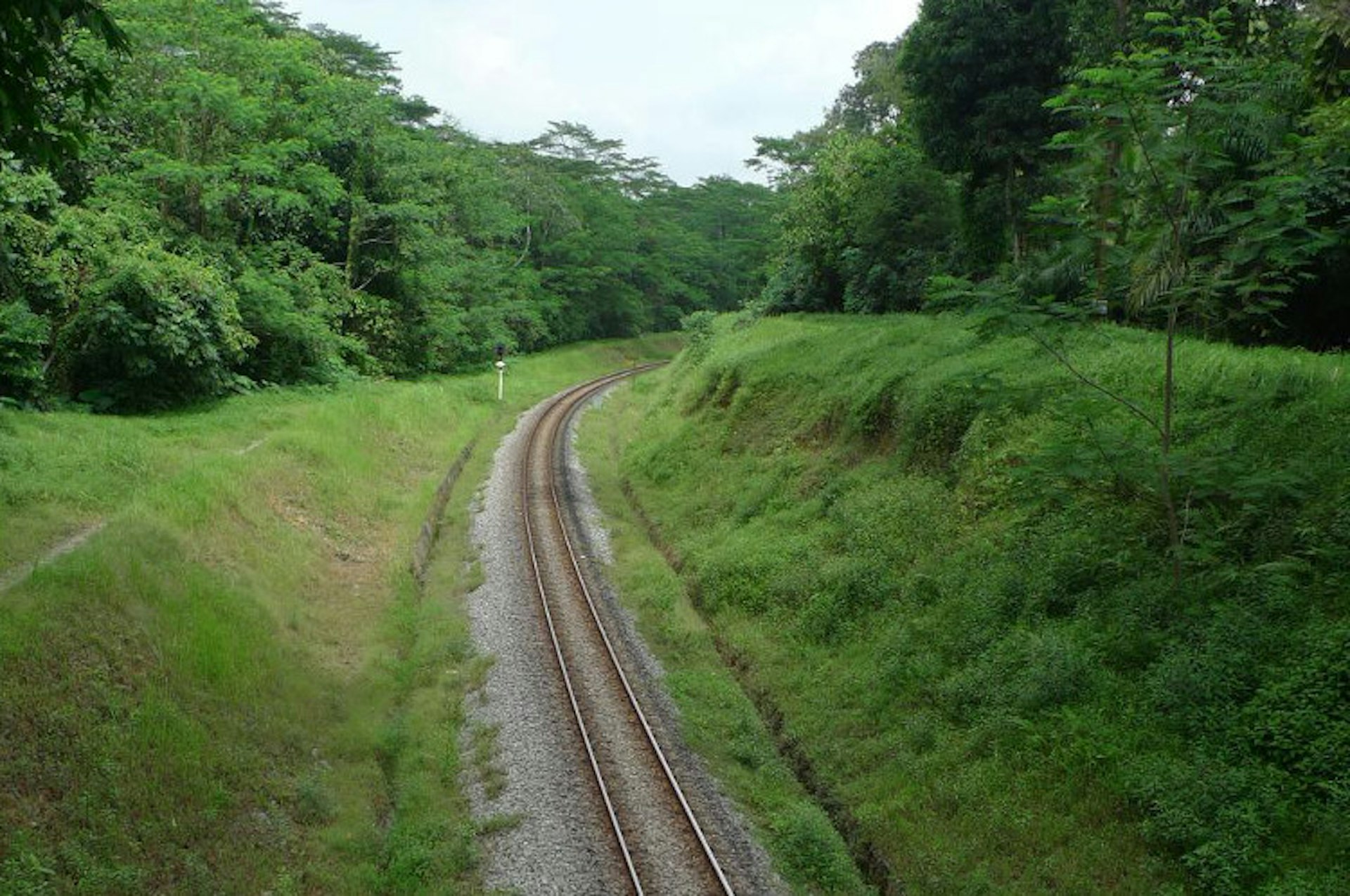 Green Corridor, Singapore. Image by Walter Lim CC BY 2.0