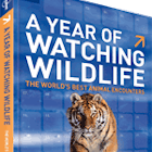 Features - 2954-A_Year_of_Watching_Wildlife_Large