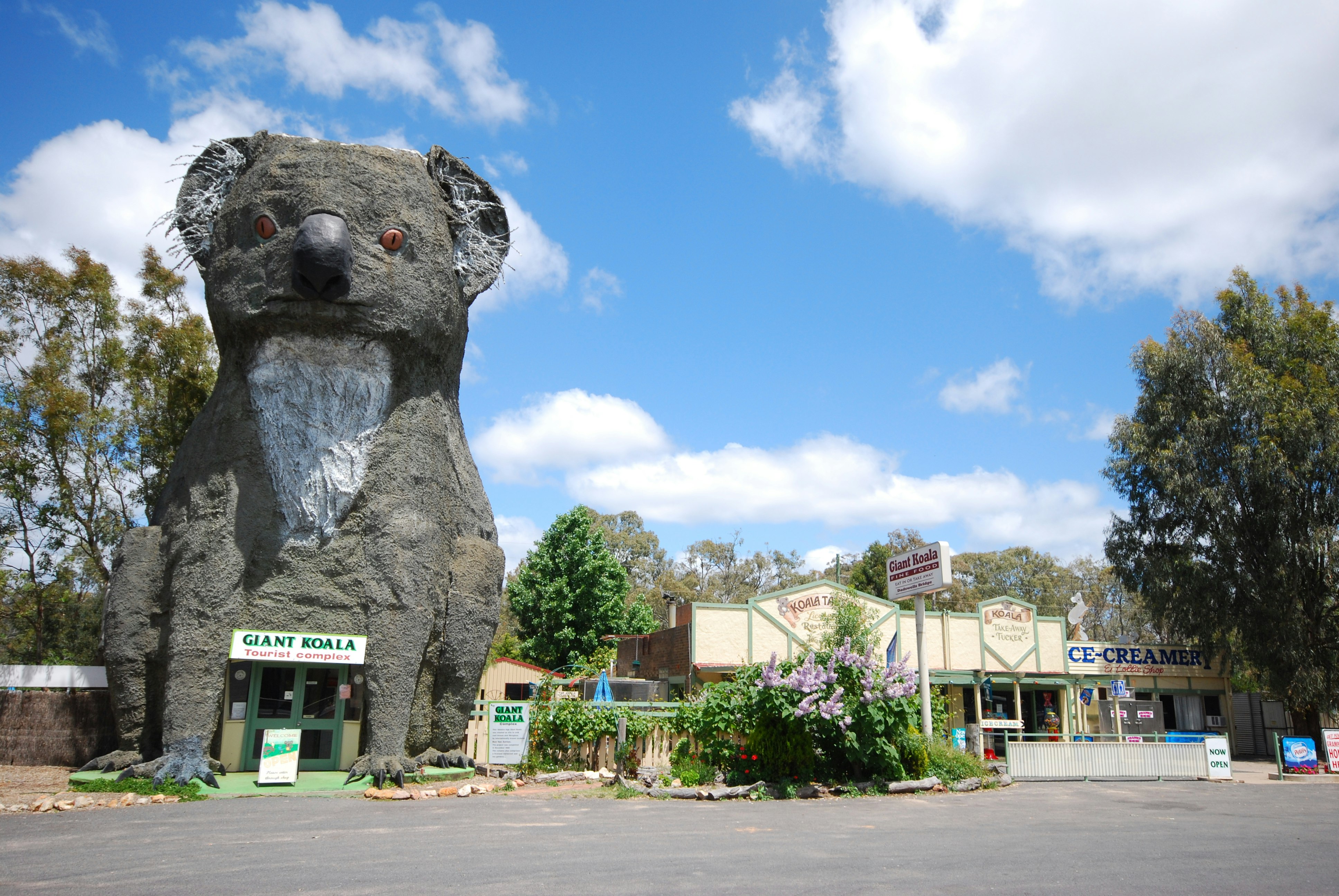 How to paint a Koala - Rock Painting 101