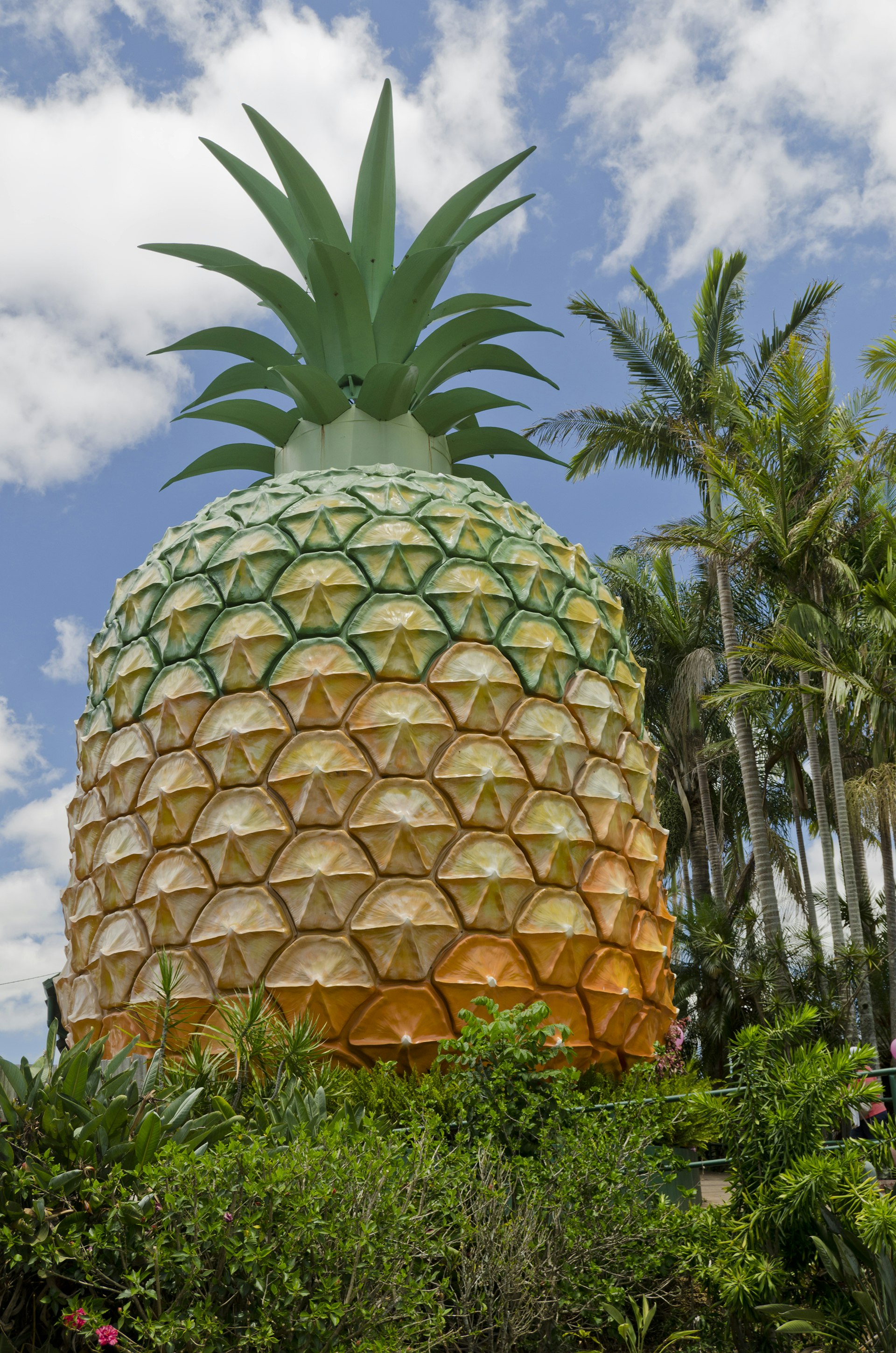 big pineapple on an australia road trip
