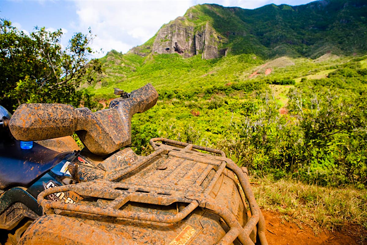 Who Wins The Oscar For Best Travel Destination Hawaii Or Paris