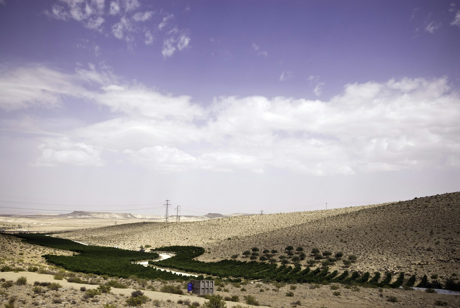 A green patch of vineyard in the Negev desert surrounded by arid sands and distant hills