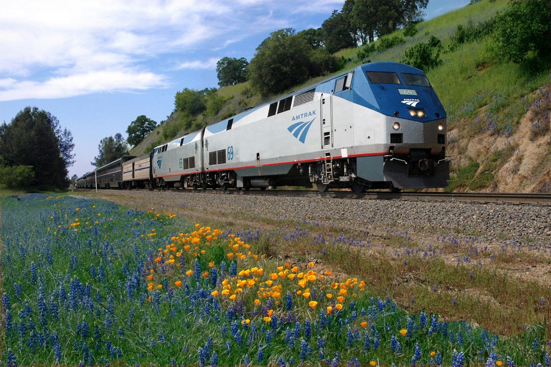 The California Zephyr train passes trackside wild flowers in the US