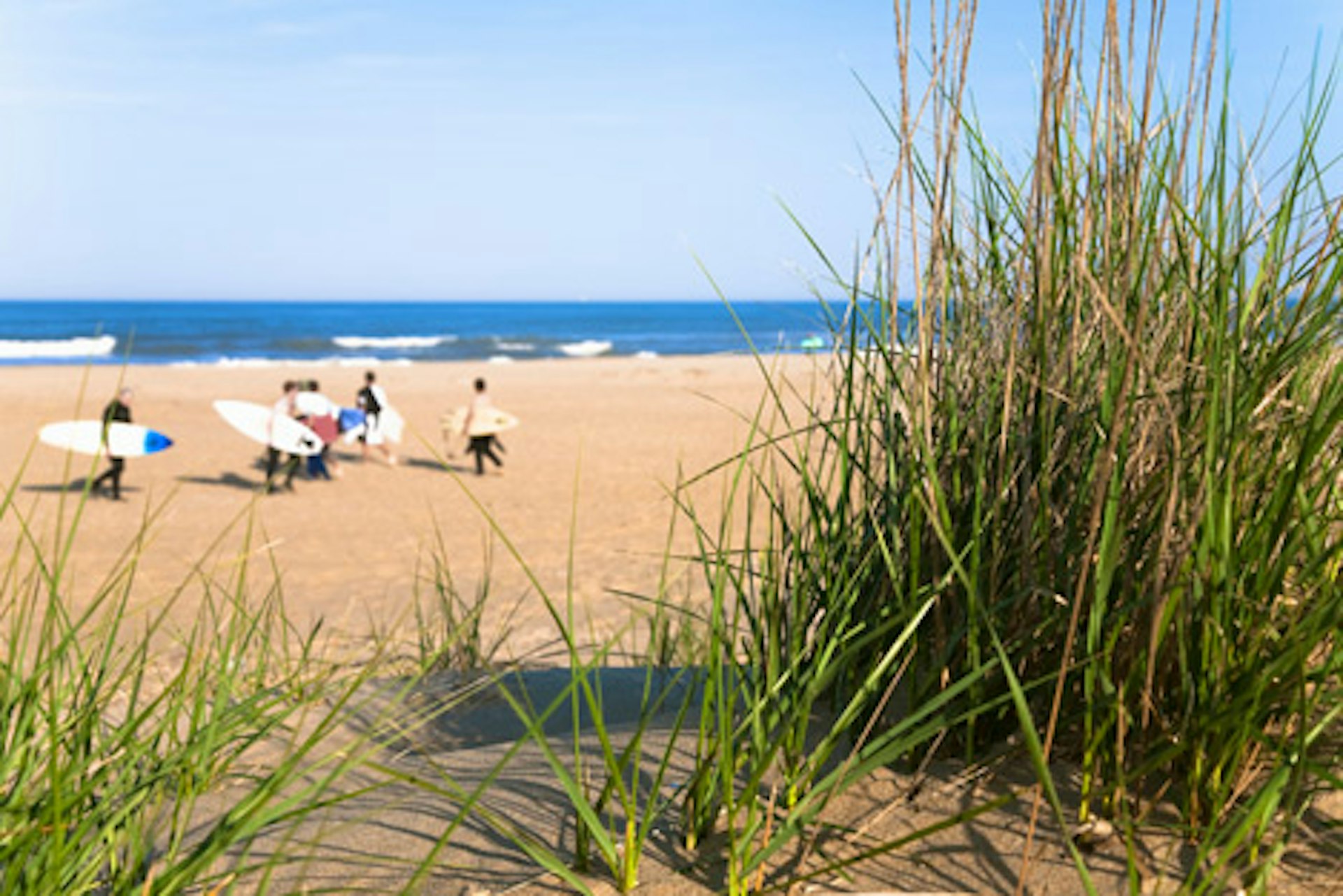 From seals to saltwater taffy Virginia Beach for kids Lonely