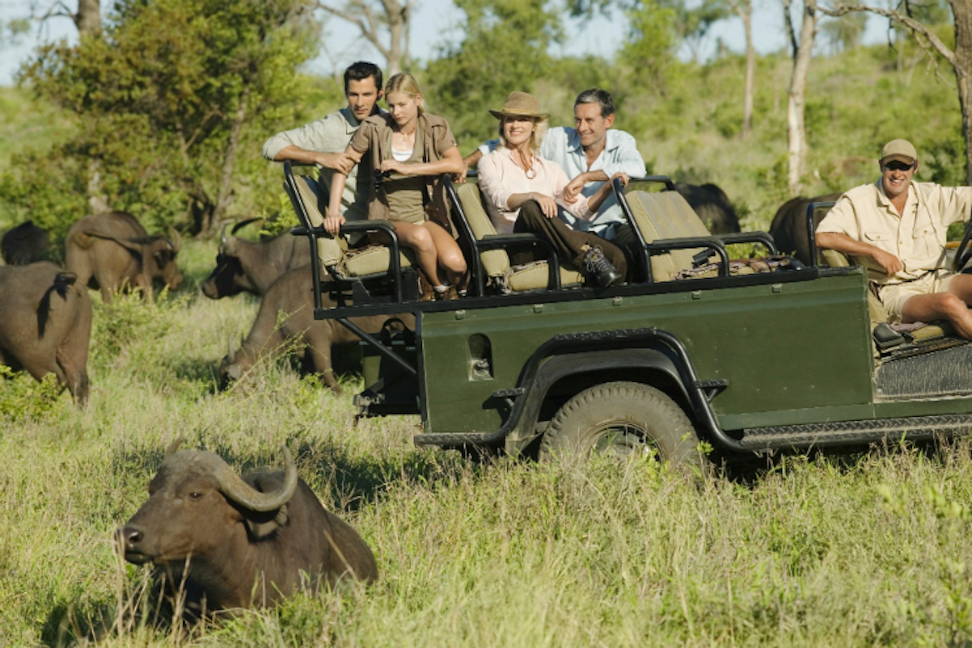 Never leave the car on a self-drive safari – unless you like the idea of being trampled by a water buffalo. Image by moodboard / Brand X Pictures / Getty Images