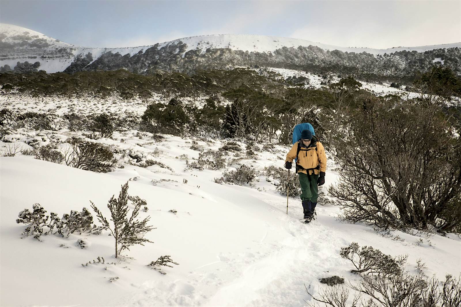 A male hiker walks on a snowy trail along the Overland Track in Tasmania.