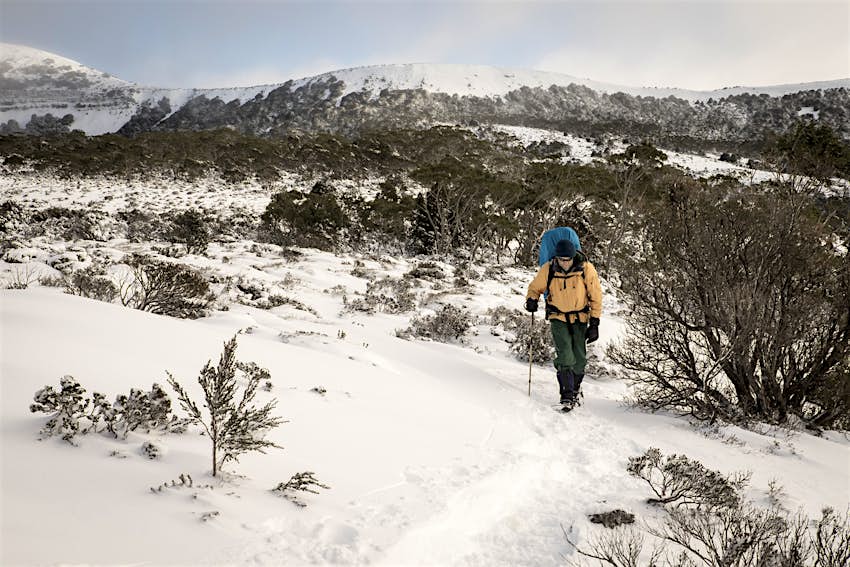 A male hiker walks on a snowy trail along the Overland Track in Tasmania.