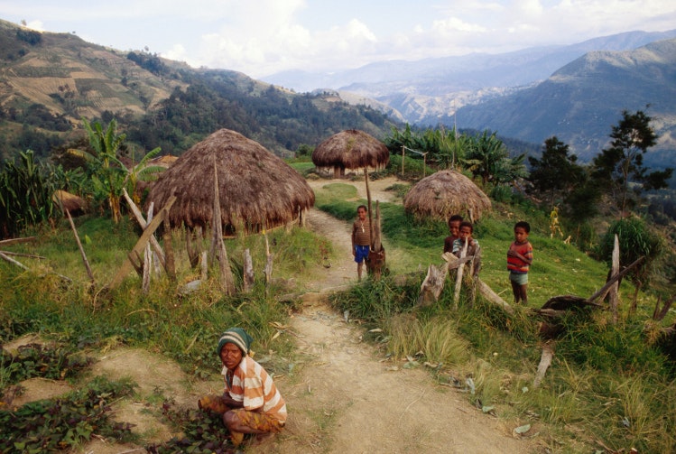 A Lani village on trail between Dimba and Tiom, Papua. Image by Karl Lehmann
