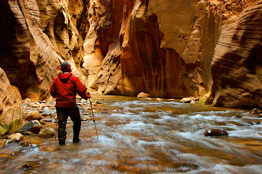 A man hiking into the narrows at Zion National Park; the hiker is surrounded by narrow canyon walls on all sides and is walking in a shallow river.