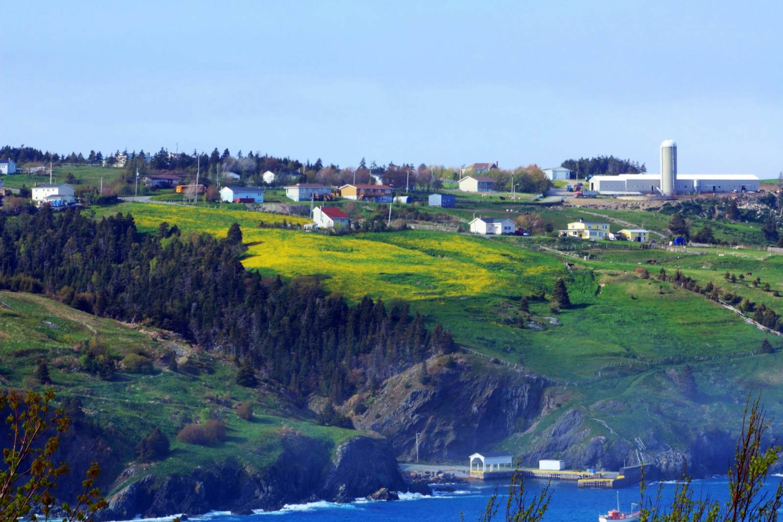 Avalon Peninsula On Newfoundland Is A World Apart – Lonely Planet