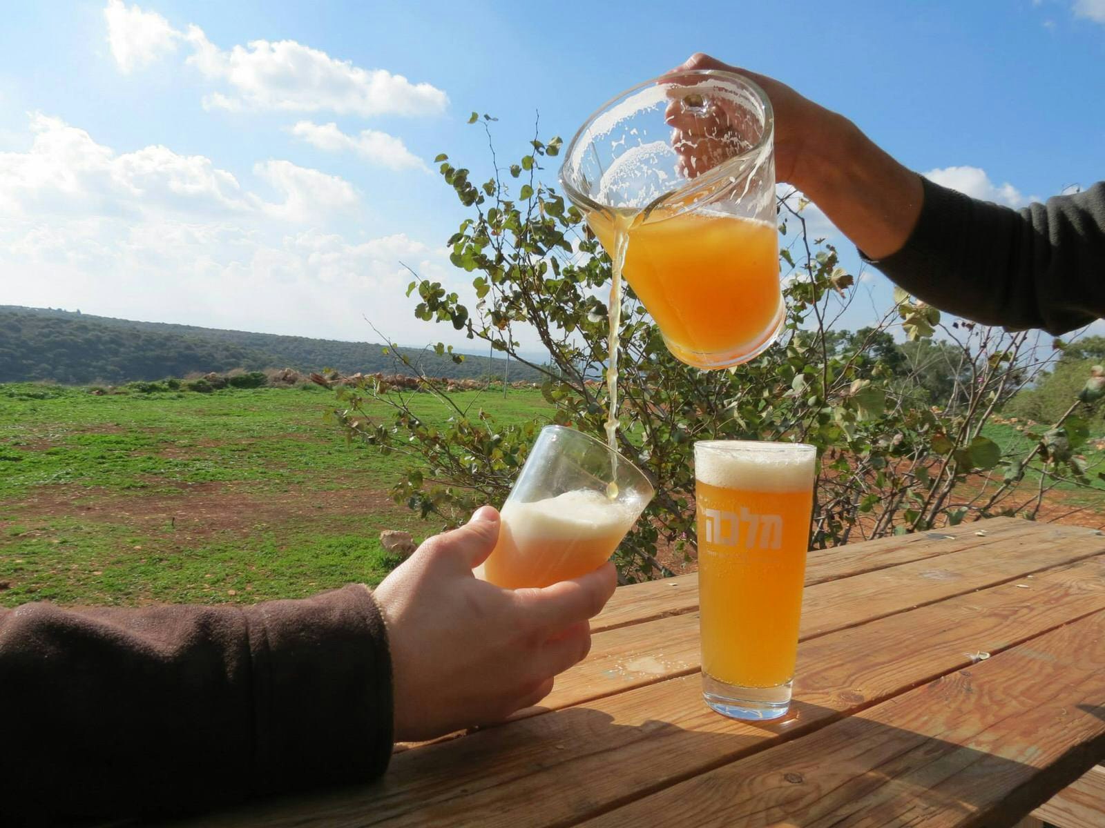 Malka beer, Israel. Image by Malka