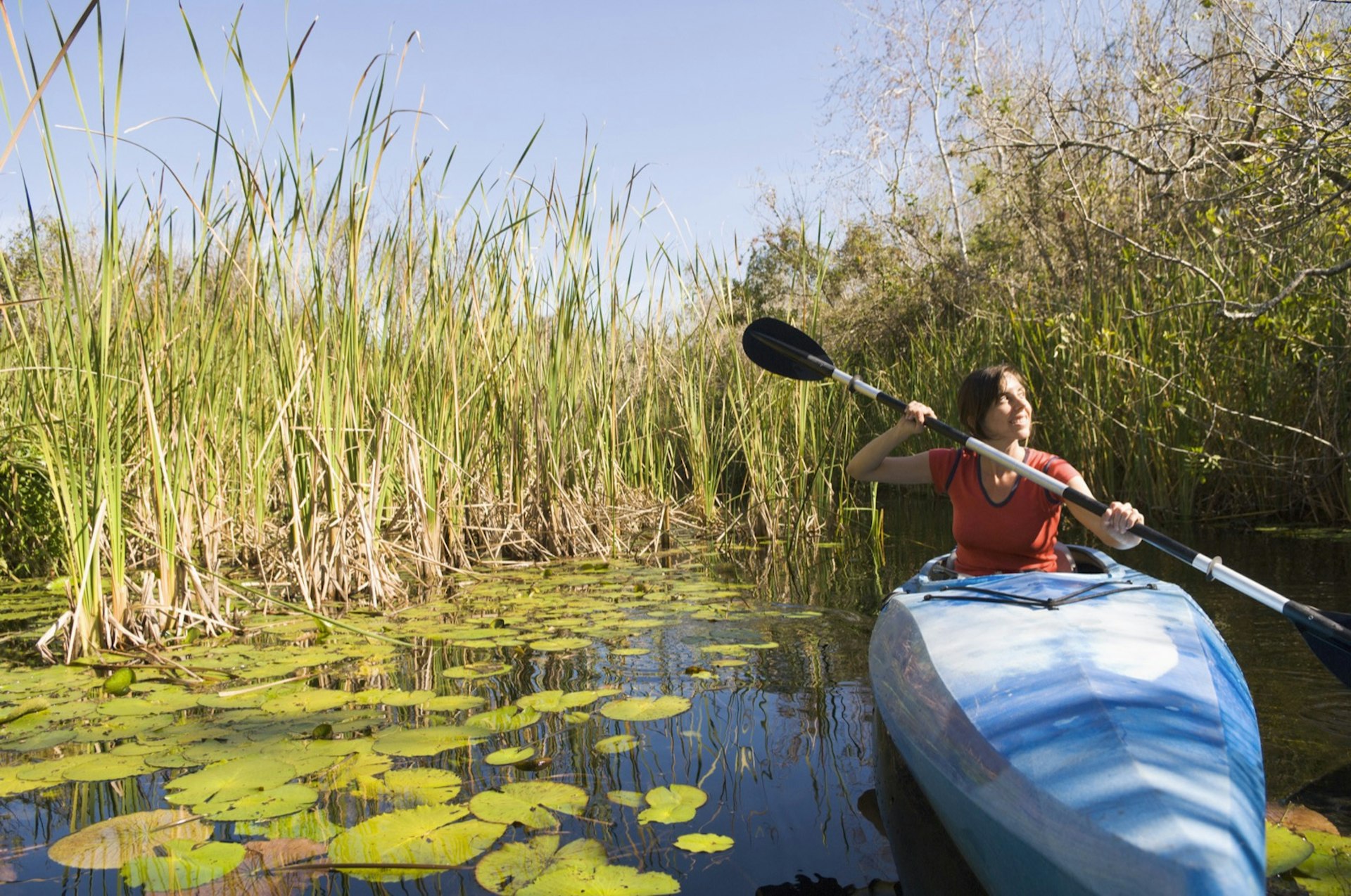 Hispanic woman paddling kayak in everglades with lily pads and reeds on both sides