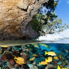 Features - Tropical Island and Underwater Paradise for Divers, Raja Ampat, Indonesia