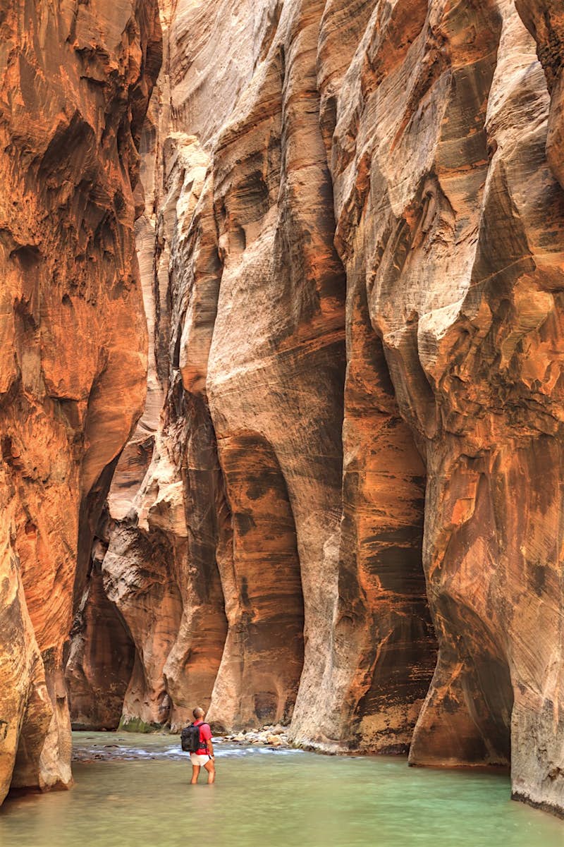 Features - Zion National Park A hiker stands in the Virgin River looking up at the sheer cliff walls of the Narrows in Zion National Park