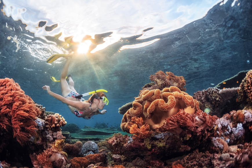 En undervattensvy av korallrevsformationer när en ung kvinna snorklar över huvudet © Dudarev Mikhail / Shutterstock