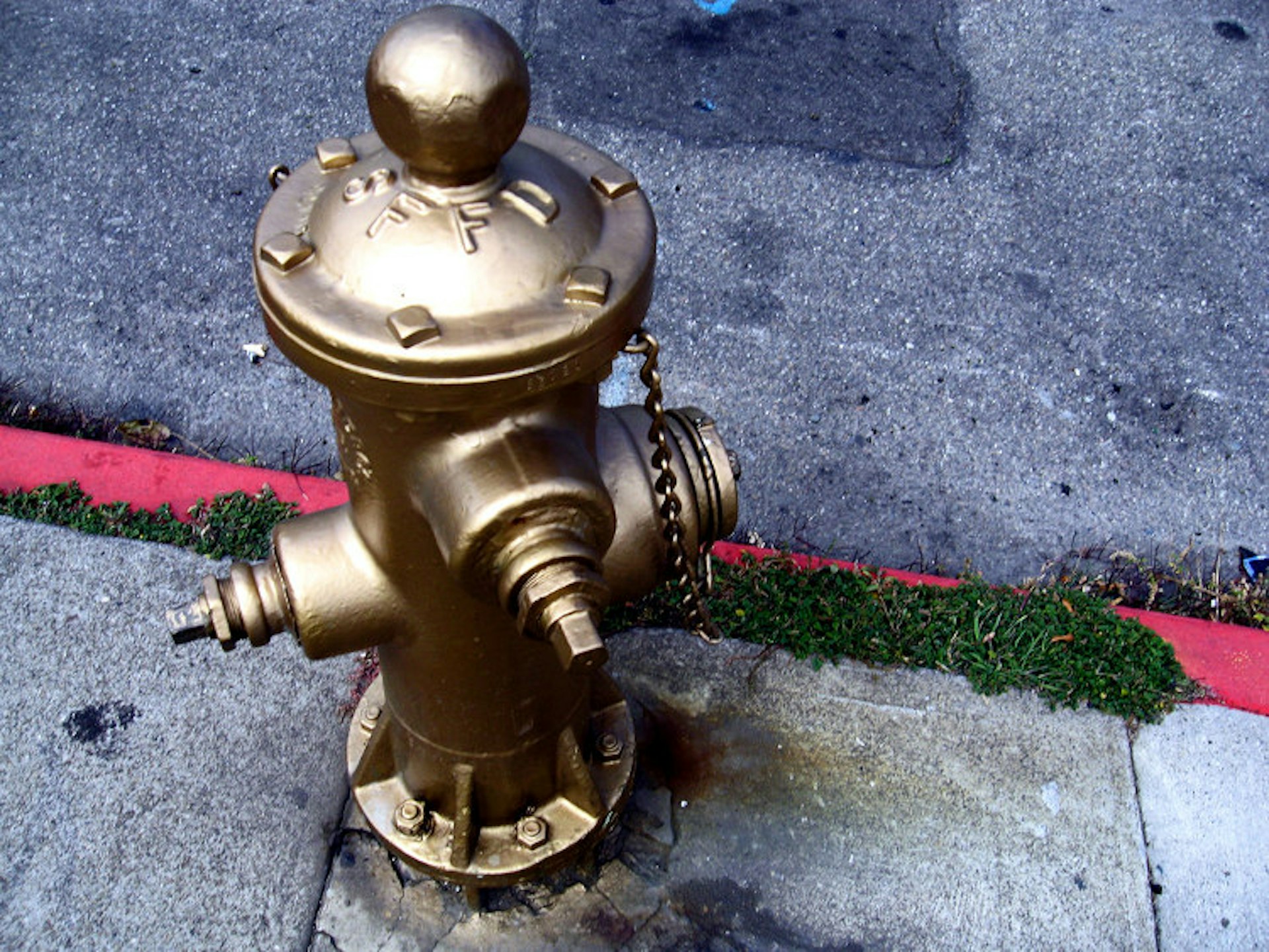 San Francisco's Golden Hydrant is repainted every year on the anniversary of the city's 1906 earthquake and fire. Image by Ryan Gessner / CC BY 2.0