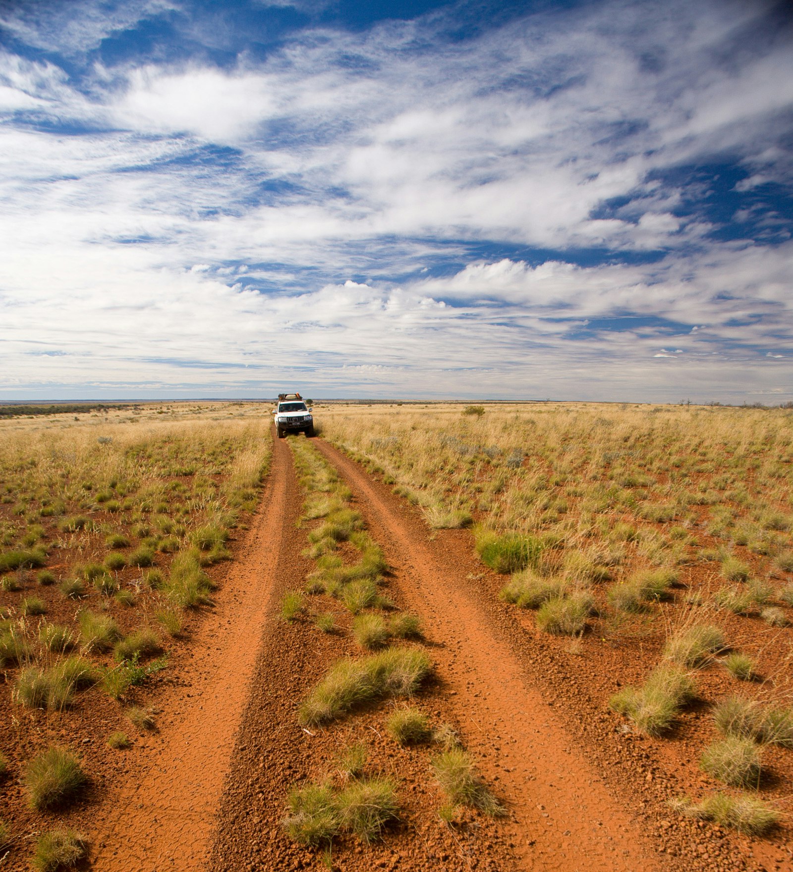 A 4X4 driving along a track through Australia's Western Desert © Janelle Lugge / Shutterstock