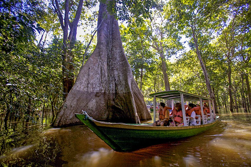 amazon forest tour