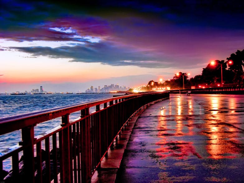 Bay Ridge an oasis in the urban jungle of New York City Lonely