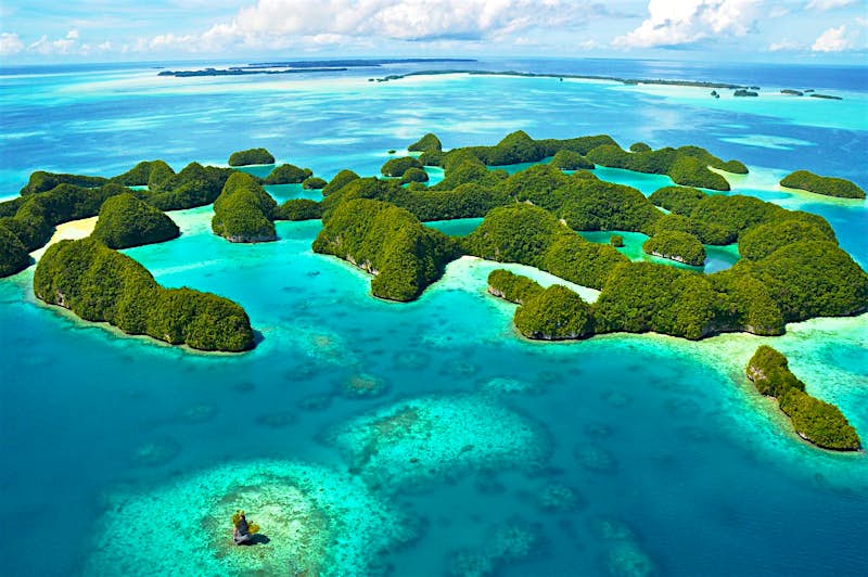 An aerial shot of the islands of Palau. The small lumpy islands are covered in dense greenery and surrounded by jewel-blue waters. 