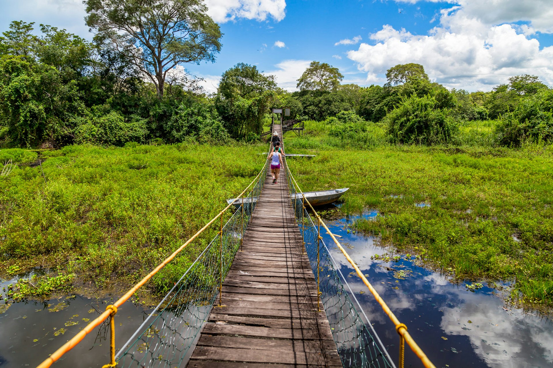 Duckboards across a wetland in Pantanal, Brazil © Hakat / Shutterstock
