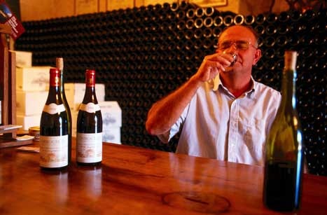 Tasting with a wine maker at Chiroubles Vineyard in Beaujolais by Greg Elms / Lonely Planet Images / Getty Images