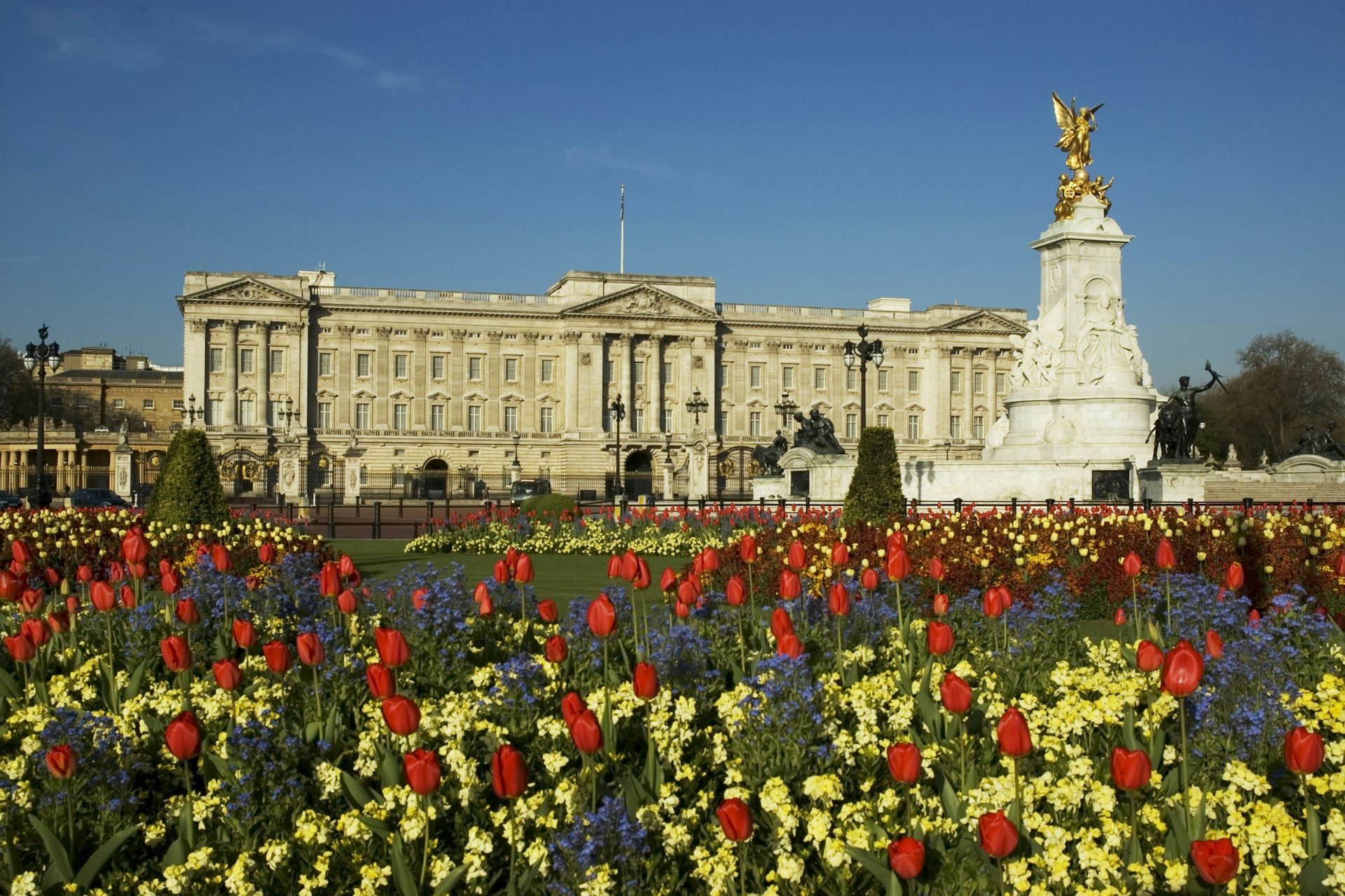Spring flowers such as tulips in front of Buckingham Palace.