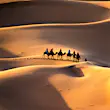 A caravan walking through the golden sand dunes of Erg Chebbi near Merzouga in Morocco, Sahara, Africa © evenfh / Shutterstock