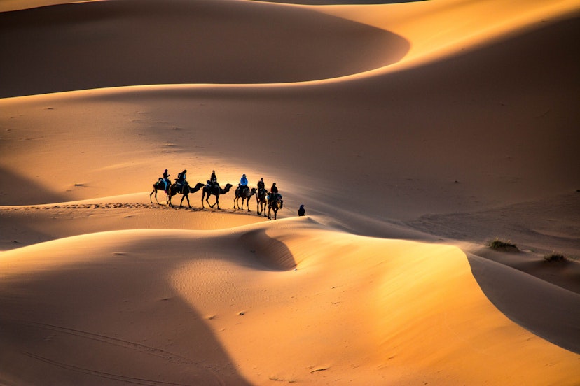 Features - sahara-desert-camel-caravan-e6208b512077