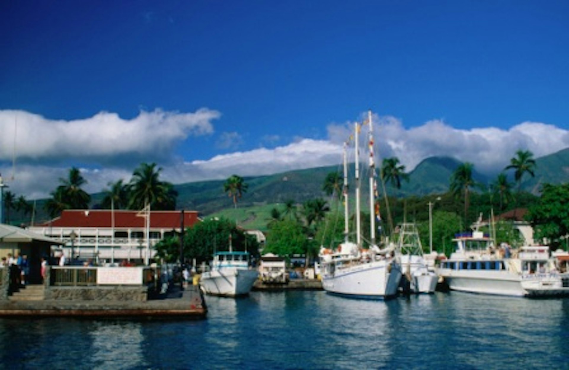 Boats moored in the Lahaina Harbor. Image by Ann Cecil/Getty Images.