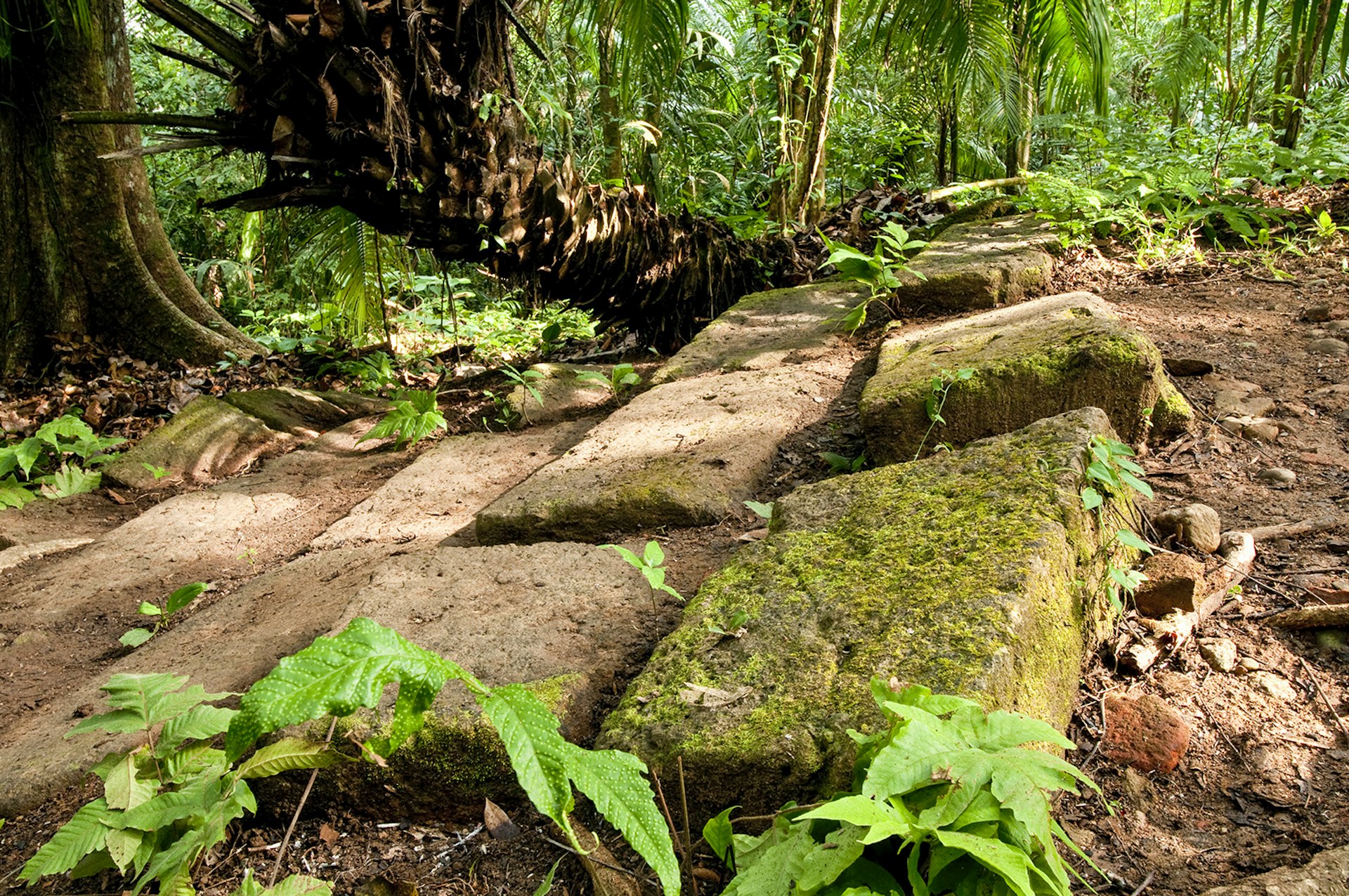 Features - Stone bricks in Camino de Cruces Spanish colonial transisthmian path.