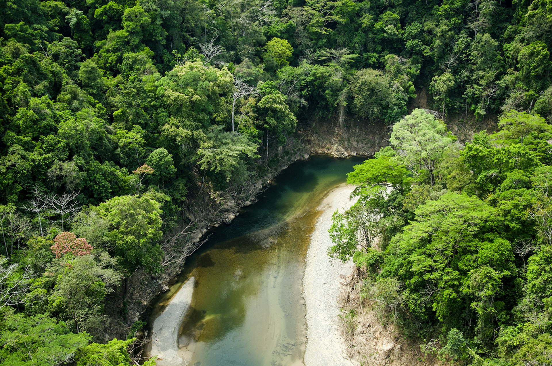 Features - Chagres river bed and rainforest.