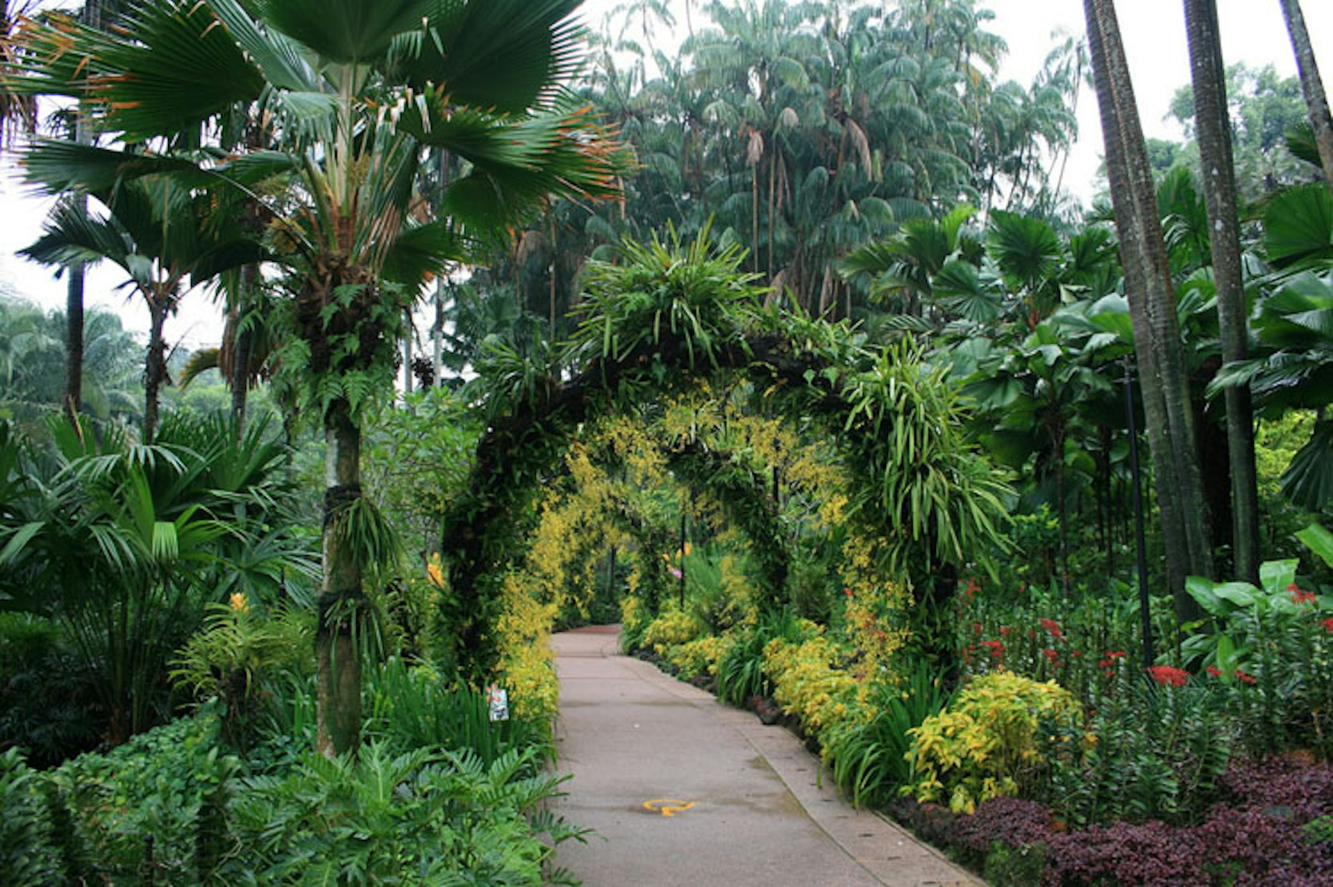 Singapore Botanic Gardens. Image by Joshua Eckert CC BY 2.0