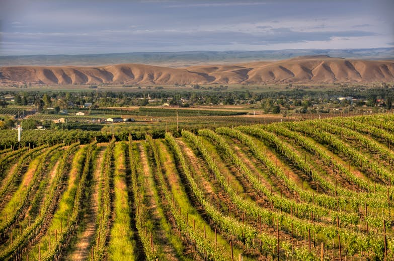 Exploring Washington’s Yakima Valley One Beverage At A Time - Lonely Planet