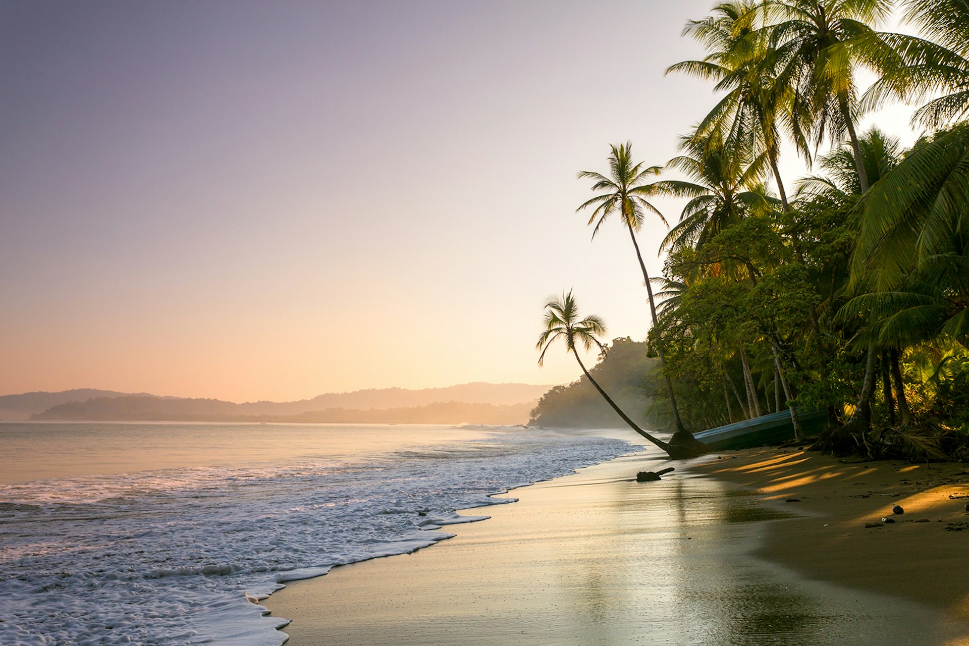 Features - Sunset on palm fringed beach, Costa Rica