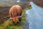 scottish highlands tourist information