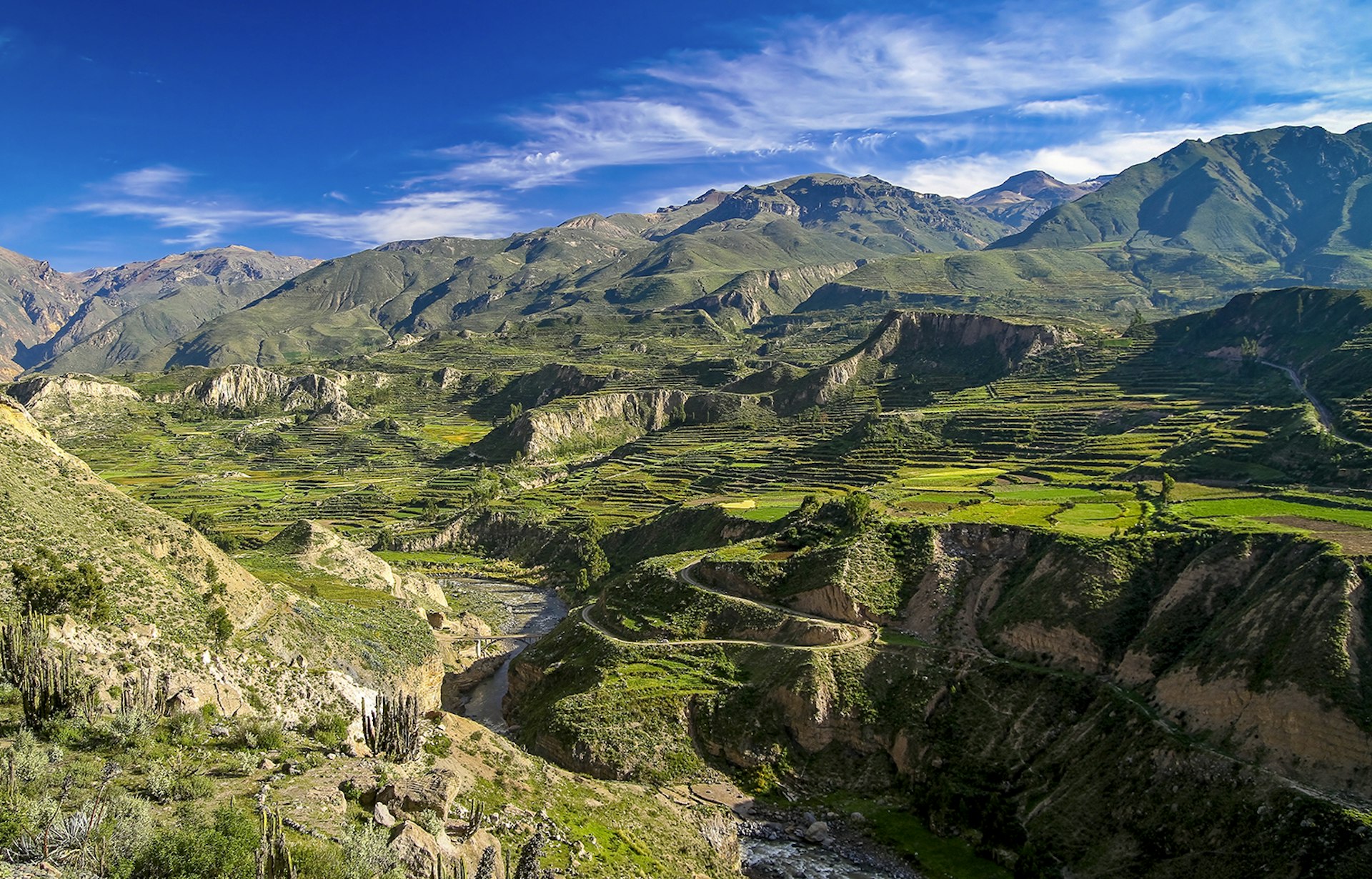 The view from one end of the Colca Canyon floor, covered in green crass and Inca-era farming terraces