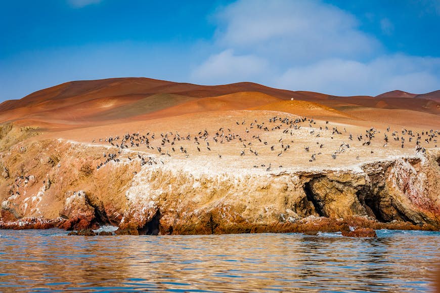 A photo from the water looking at a rust colored, desert coastline dotted with birds. The landmass is framed by a blue sky and rippling water. 