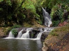 Features - Elabana Falls, Australian rainforest, by Tatiana Gerus. CC BY 2.0
