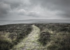 Features - Path in the North York Moors National Park